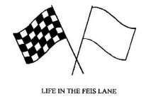 LIFE IN THE FEIS LANE