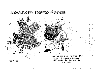 SOUTHERN DELITE FOODS