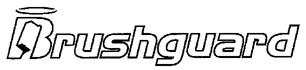 BRUSHGUARD