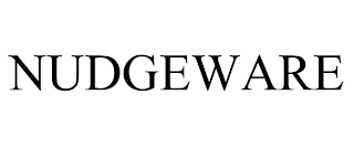 NUDGEWARE