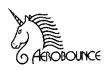 AEROBOUNCE