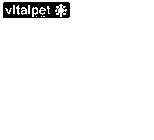 VITALPET BY S & S