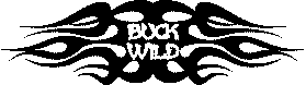 BUCK WILD