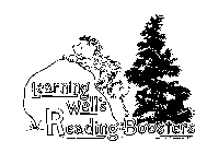 LEARNING WELL'S READING BOOSTERS