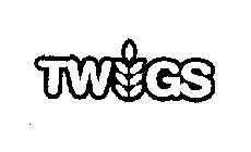 TWIGS