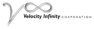 V VELOCITY INFINITY CORPORATION