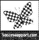 SUCCESSUPPORT.COM