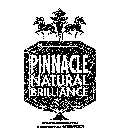 PINNACLE NATURAL BRILLIANCE