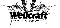 WELLCRAFT CATCH THE EXCITEMENT