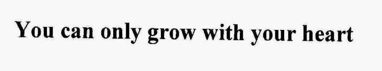 YOU CAN ONLY GROW WITH YOUR HEART