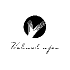 V VELVET SPA