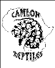 CAMLON REPTILES
