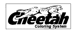 CHEETAH COLORING SYSTEM