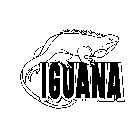 IGUANA