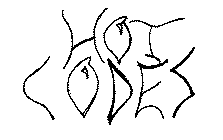 HOT CODES