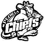 PEORIA CHIEFS