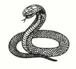 Image Trademark