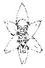 RELICSURF