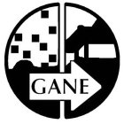 GANE