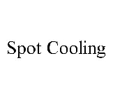 SPOT COOLING