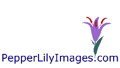 PEPPERLILYIMAGES.COM