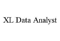 XL DATA ANALYST