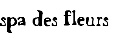 SPA DES FLEURS