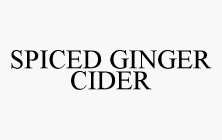 SPICED GINGER CIDER