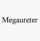 MEGAURETER