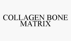 COLLAGEN BONE MATRIX