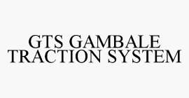 GTS GAMBALE TRACTION SYSTEM