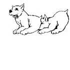 DOG DESIGN