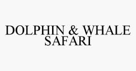 DOLPHIN & WHALE SAFARI