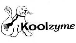 KOOLZYME