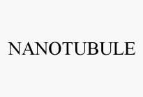 NANOTUBULE