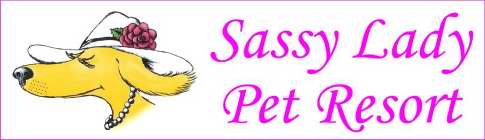 SASSY LADY PET RESORT