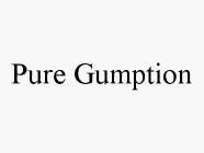 PURE GUMPTION