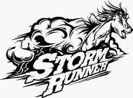 STORM RUNNER