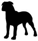 Image Trademark