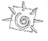 Image Trademark