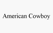 AMERICAN COWBOY