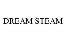 DREAM STEAM