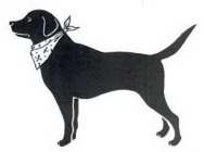 Image Trademark