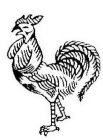 Image Trademark