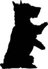 Image Trademark