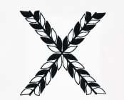 X (DESIGN)