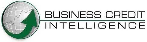 BUSINESS CREDIT INTELLIGENCE