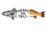 HEADS OR TAILS