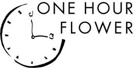 ONE HOUR FLOWER