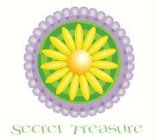 SECRET TREASURE